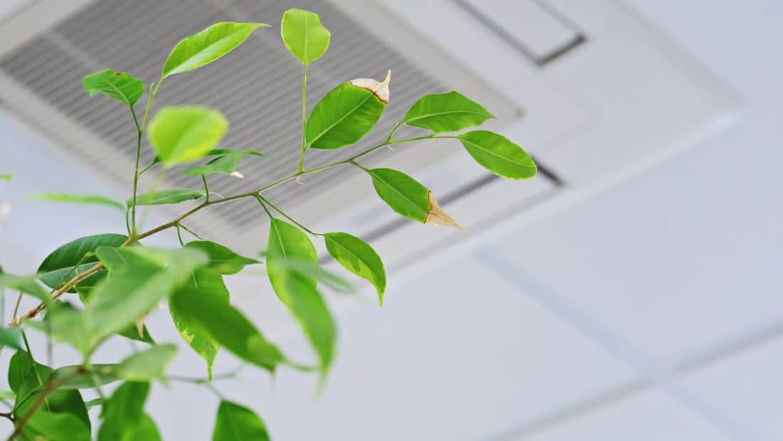 Office Air Conditioning